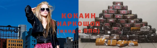 apvp Богородицк