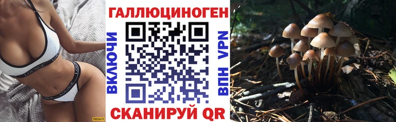Псилоцибиновые грибы Magic Shrooms  Мариинский Посад 